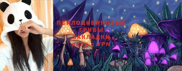 первитин Краснослободск