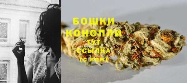 стаф Краснотурьинск