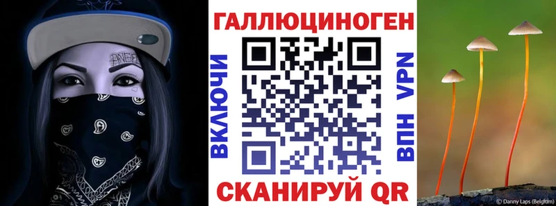 Купить Конаково Псилоцибиновые грибы MAGIC MUSHROOMS